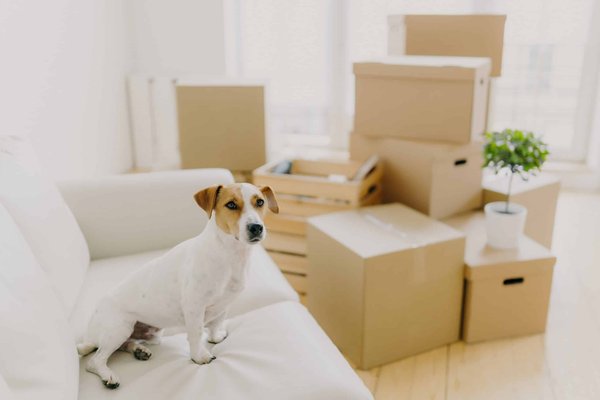 Comment créer un coin lecture confortable et inspirant pour les passionnées de littérature ?